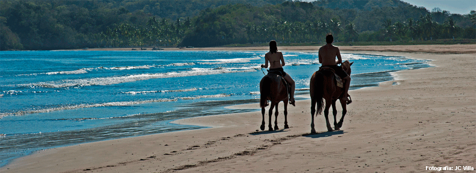 Horse Riding in the Beach